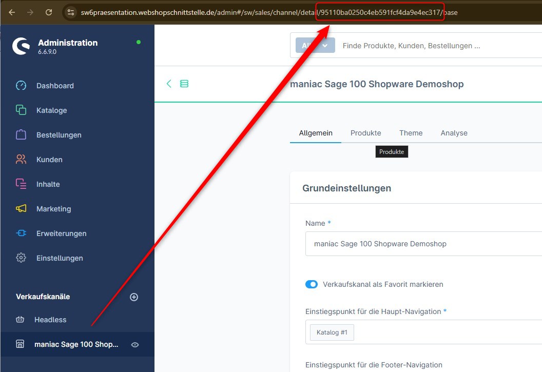 shopware-Saleschannel-ID auslesen