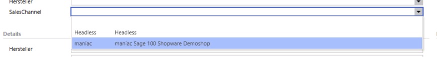 SalesChannel einem Artikel zuweisen