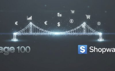 Warum ist es wichtig, Ihre Sage 100 mit Shopware zu verbinden?